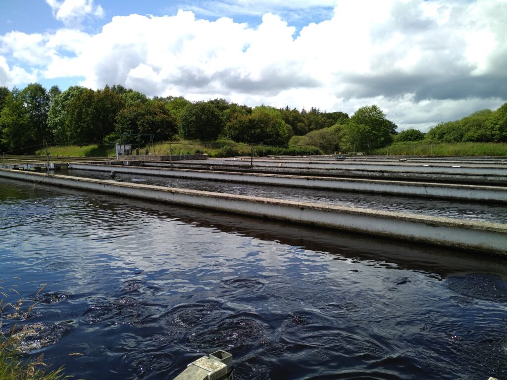 Suivi de la qualité de l’eau en pisciculture