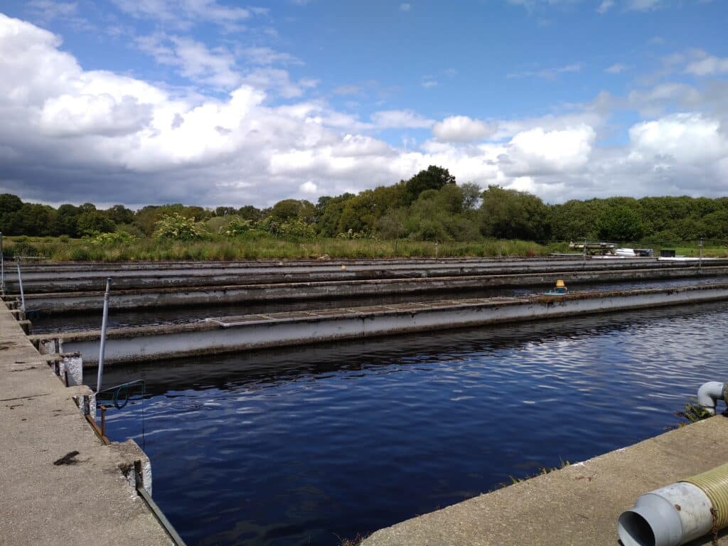 Suivi de la qualité de l’eau en pisciculture