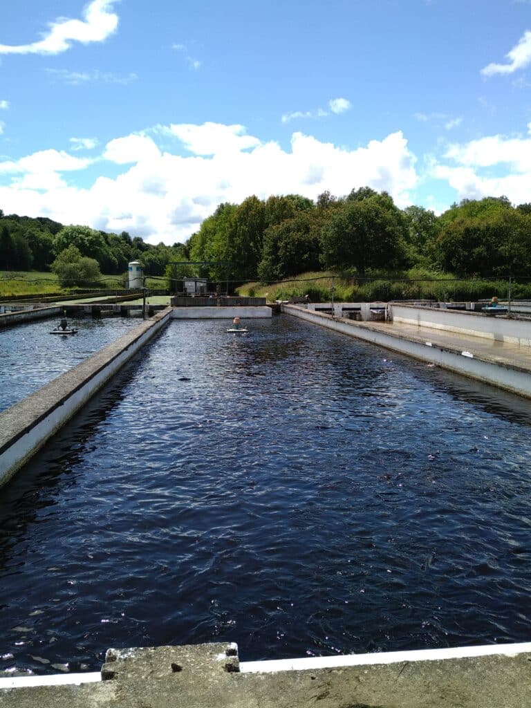 Suivi de la qualité de l’eau en pisciculture