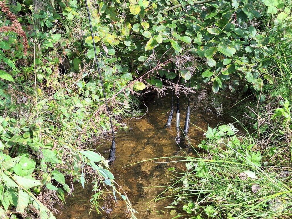Sonde de mesure de l’oxygène dissous installée dans un cours d’eau naturel.