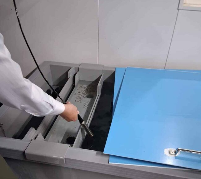 Suivi et mesure de l’oxygène dissous dans l’eau