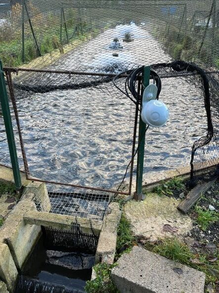 Capteur connecté utilisé pour l’IoT dans la surveillance de l’eau.
