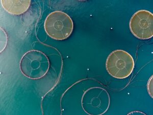 Salmon farm cages used in aquaculture Norway water quality monitoring.