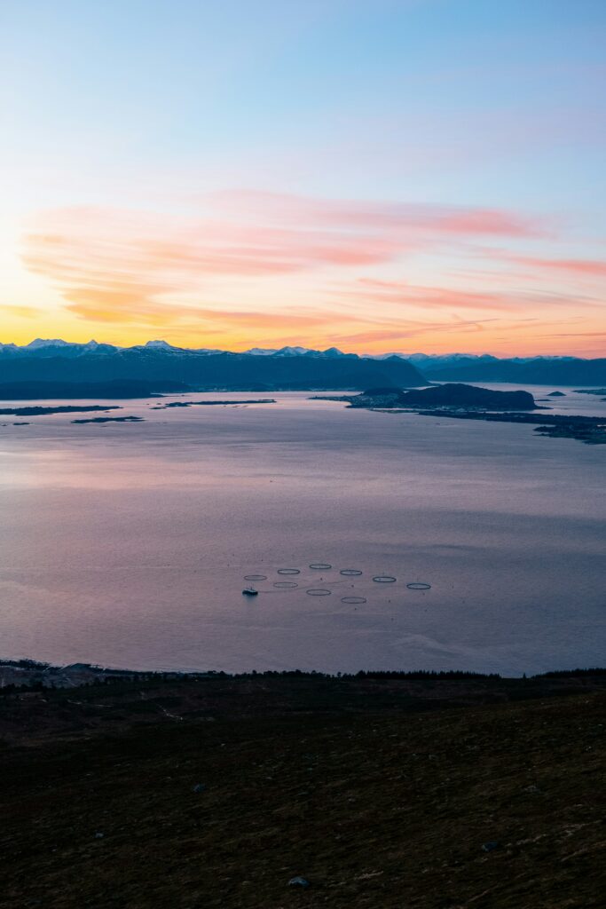 Norwegian coastal waters relevant to aquaculture Norway water quality monitoring.