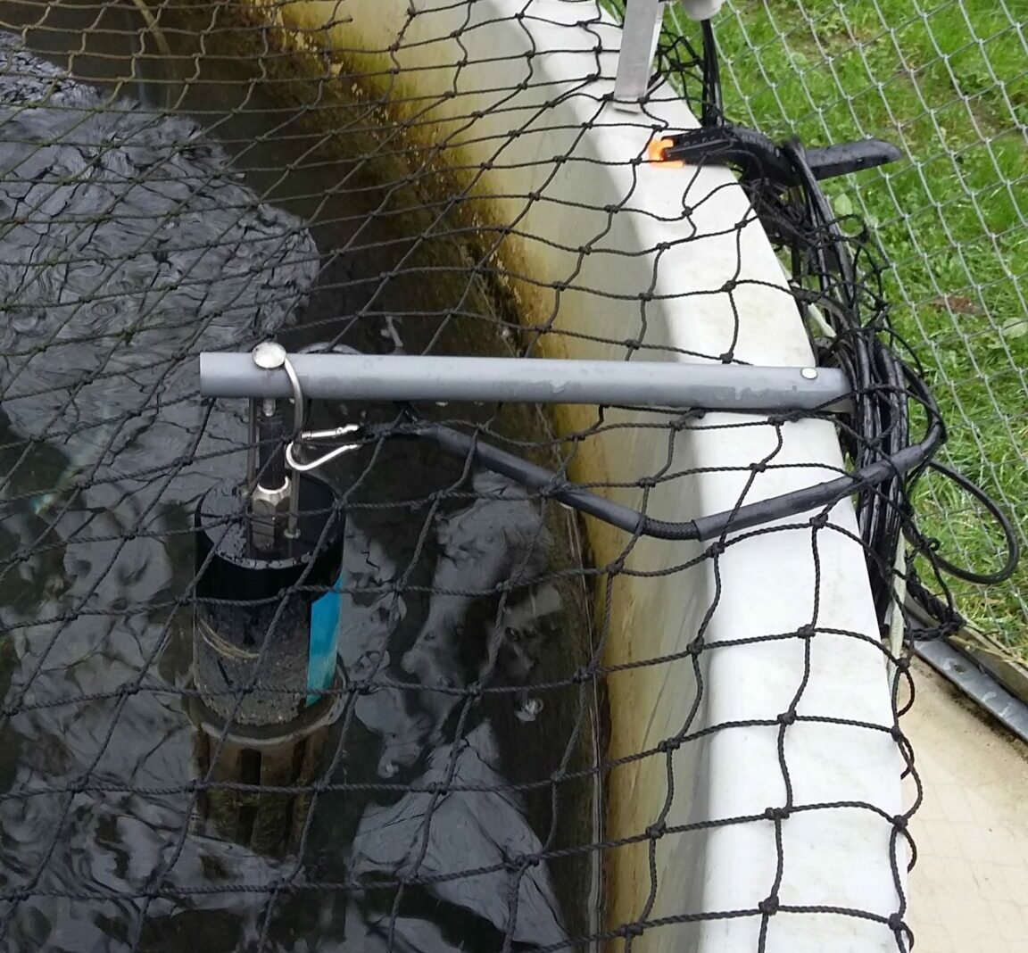 Capteur utilisé pour la mesure du potentiel redox dans l’eau d’un bassin aquacole.