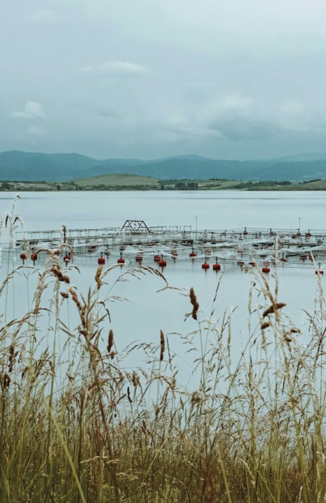 Scottish salmon farm where dissolved oxygen is monitored to support fish health.