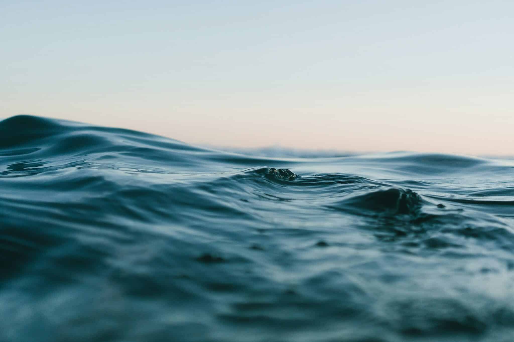 Surface de l’eau de mer faisant l’objet d’un suivi de conductivité et de salinité.